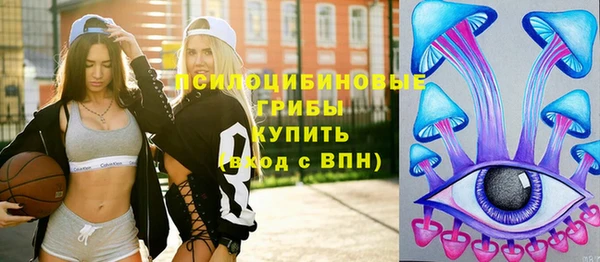 крисы Тавда