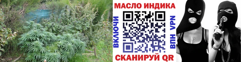 Купить закладки  Электрогорск  ТГК концентрат 