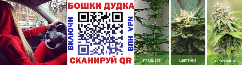 Купить закладки  Электрогорск  Канабис Ganja 